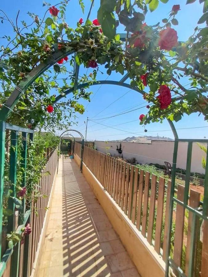 Villa Zee Madaba Extérieur photo