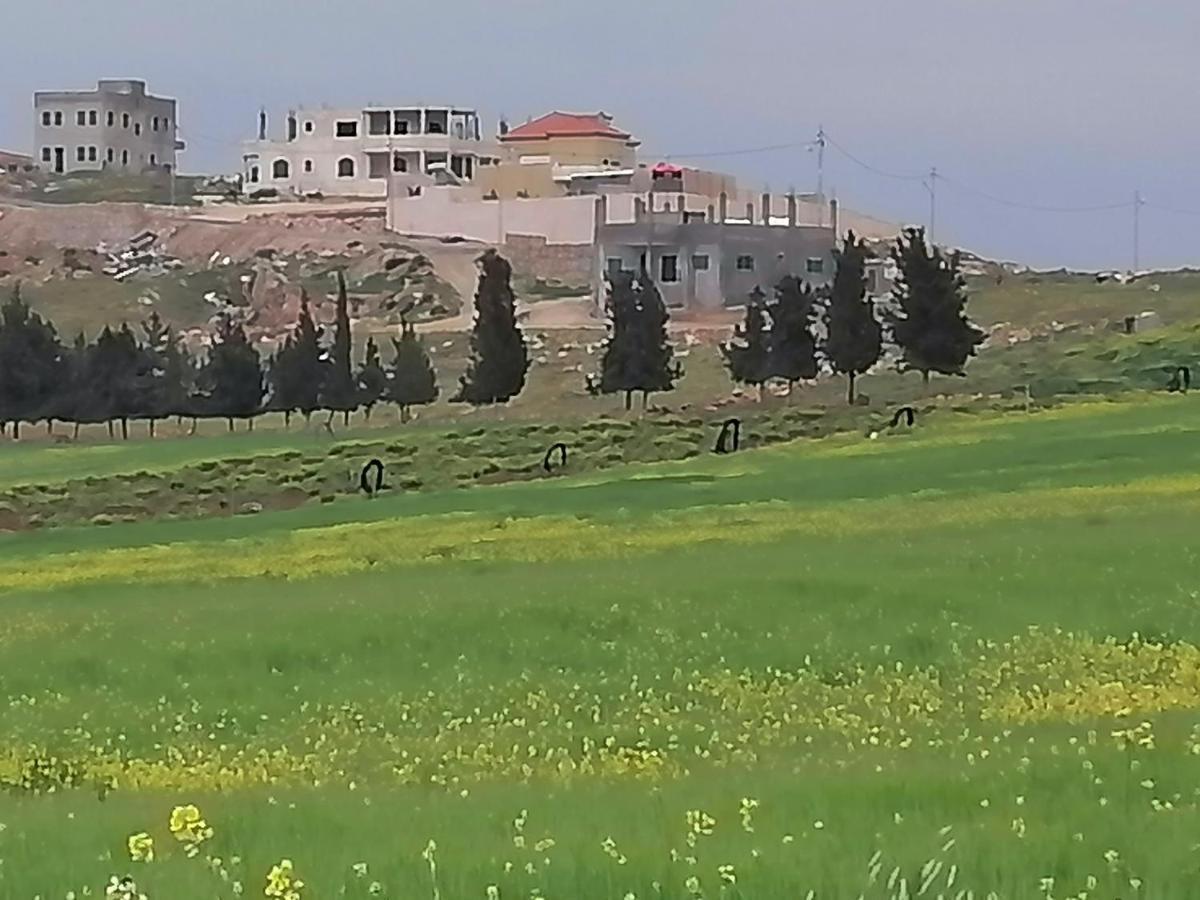 Villa Zee Madaba Extérieur photo